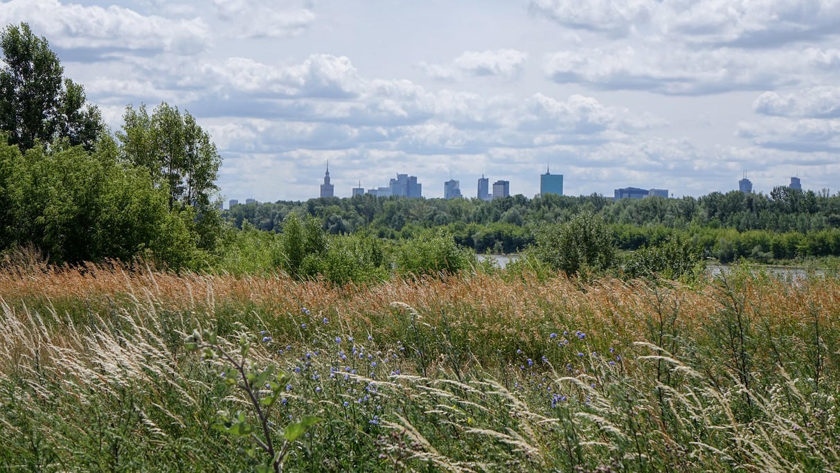 Czerwiec w obiektywie - zdjęcie 9