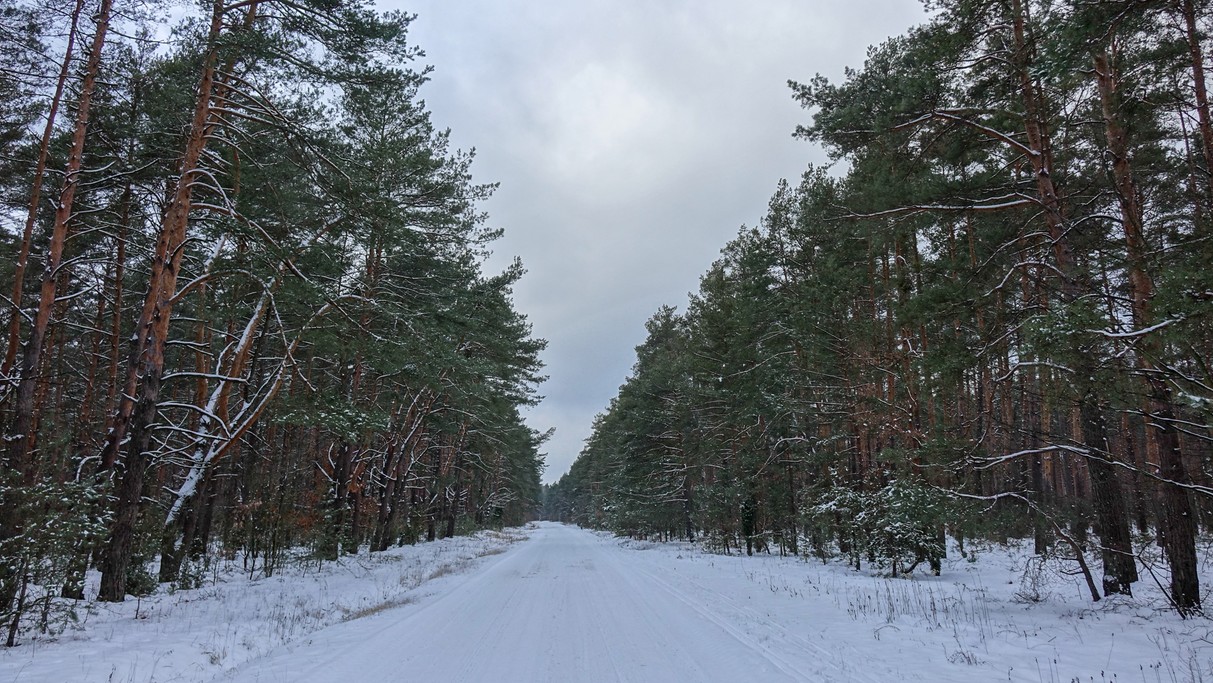 Styczeń w obiektywie - zdjęcie 72
