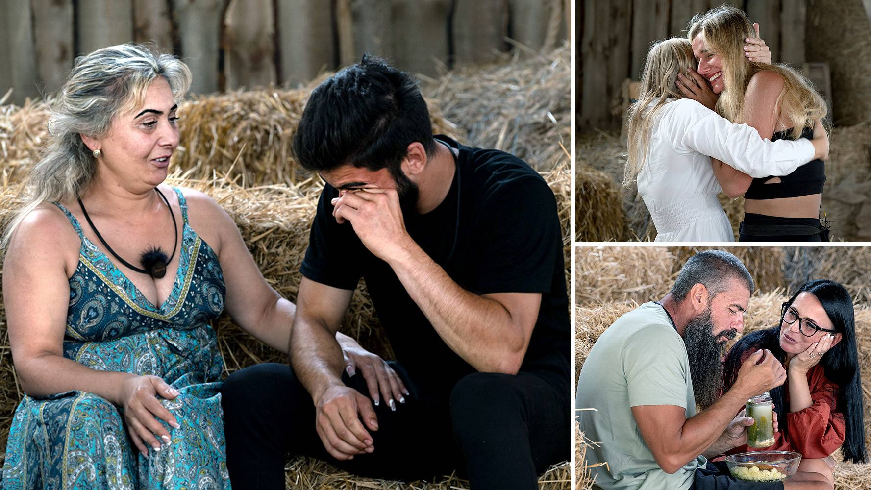 Najbardziej wzruszający odcinek „Farmy”. „Już to wygrałeś!”