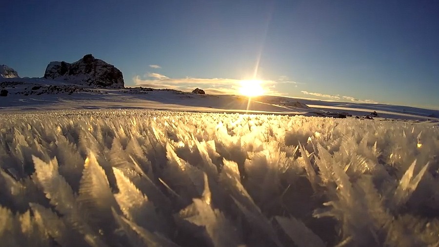 Fot. Facebook / Arctowski Polish Antarctic Station.