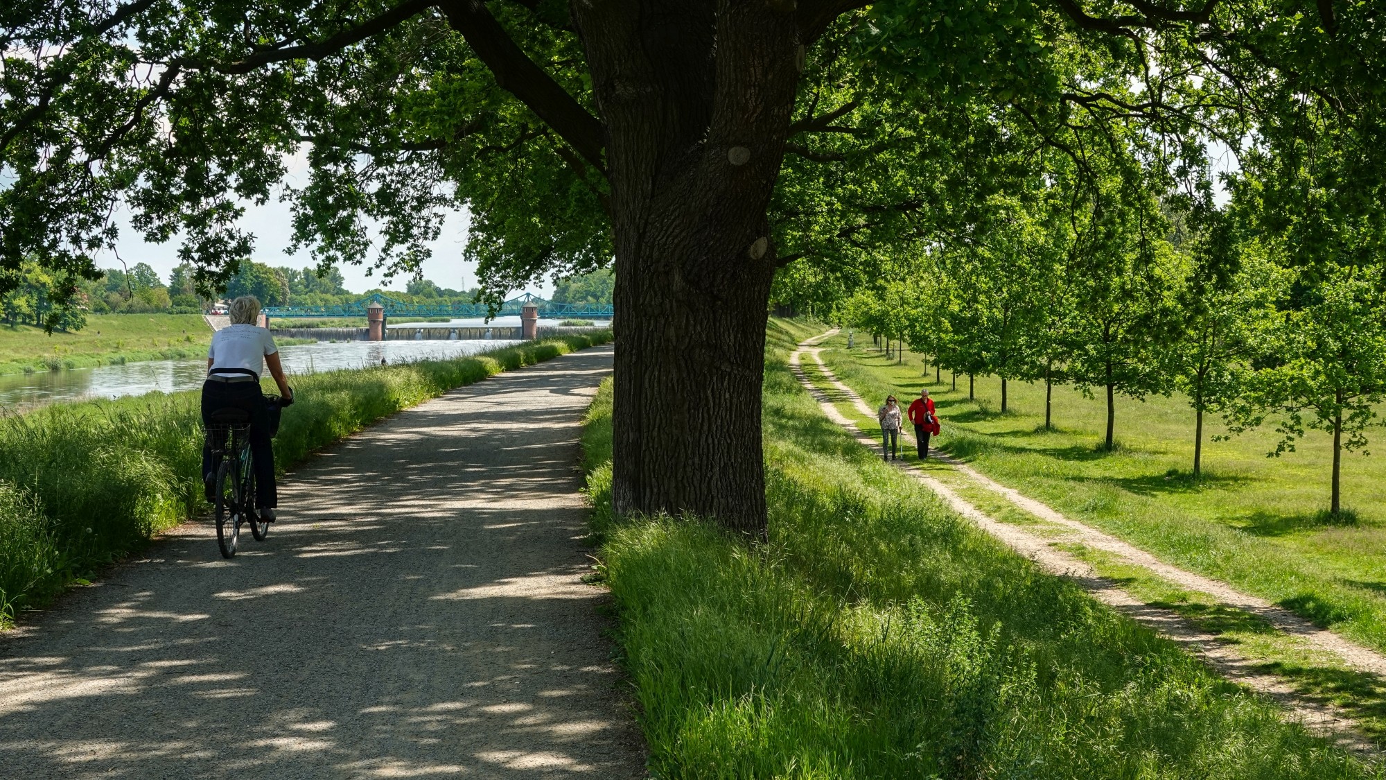 Całe piękno późnej wiosny - zdjęcie 27
