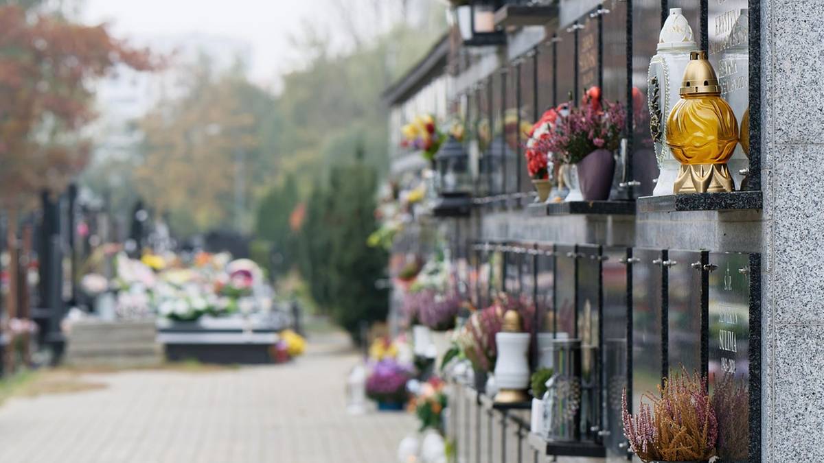 Fragment cmentarza z rzędami grobów, w tym kolumbariów, ozdobionych zniczami i kwiatami.