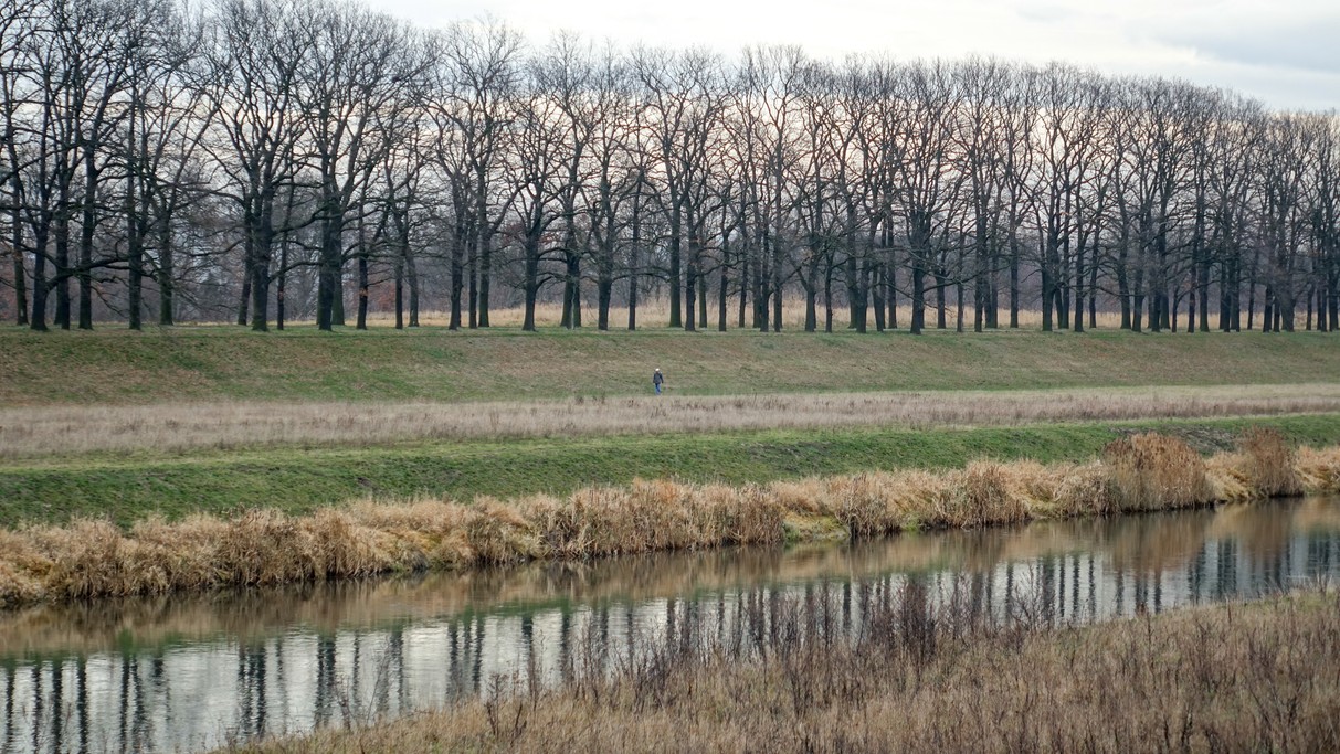 Styczeń w obiektywie - zdjęcie 34