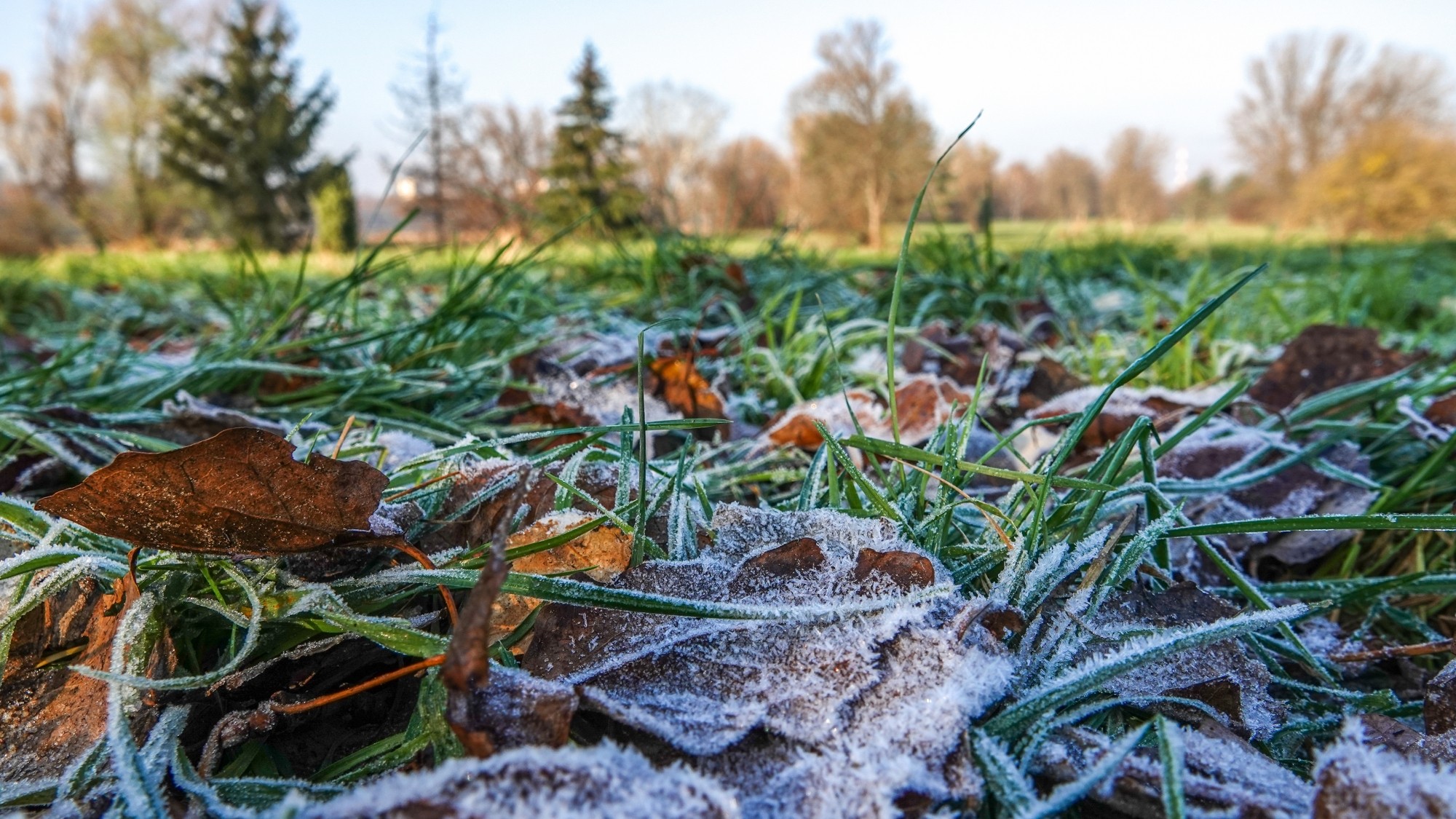 Szron pod lupą - zdjęcie 17