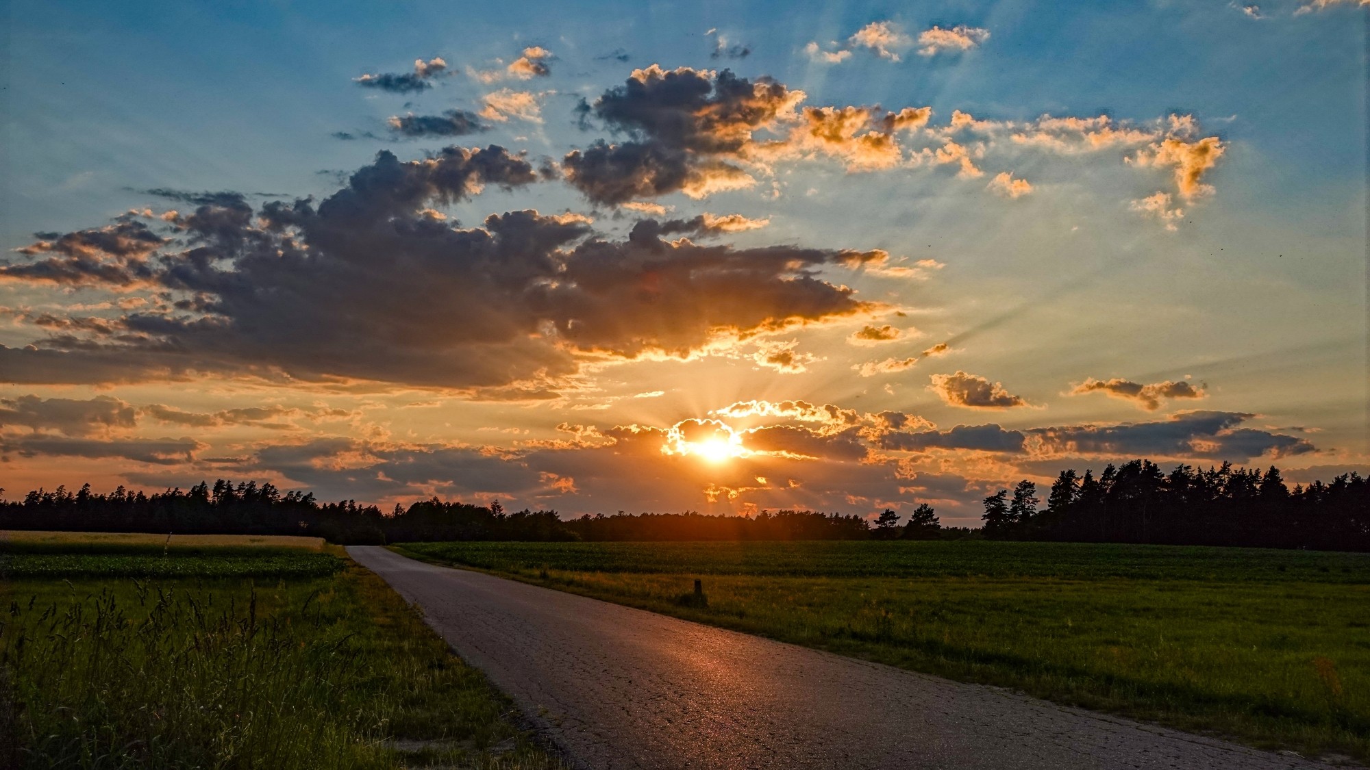 Letnie klimaty na łonie natury - zdjęcie 4