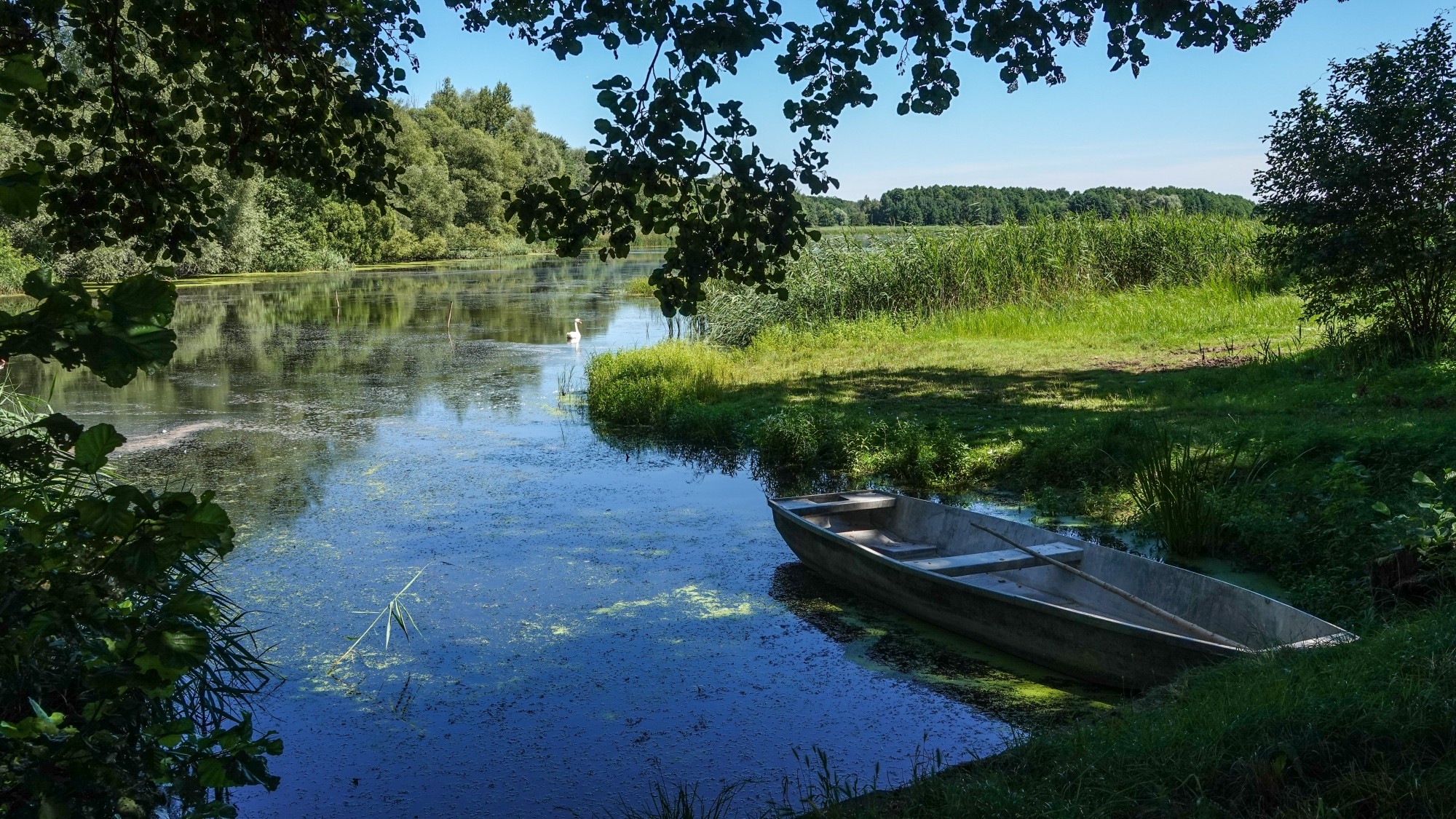Na pożegnanie lata - zdjęcie 5