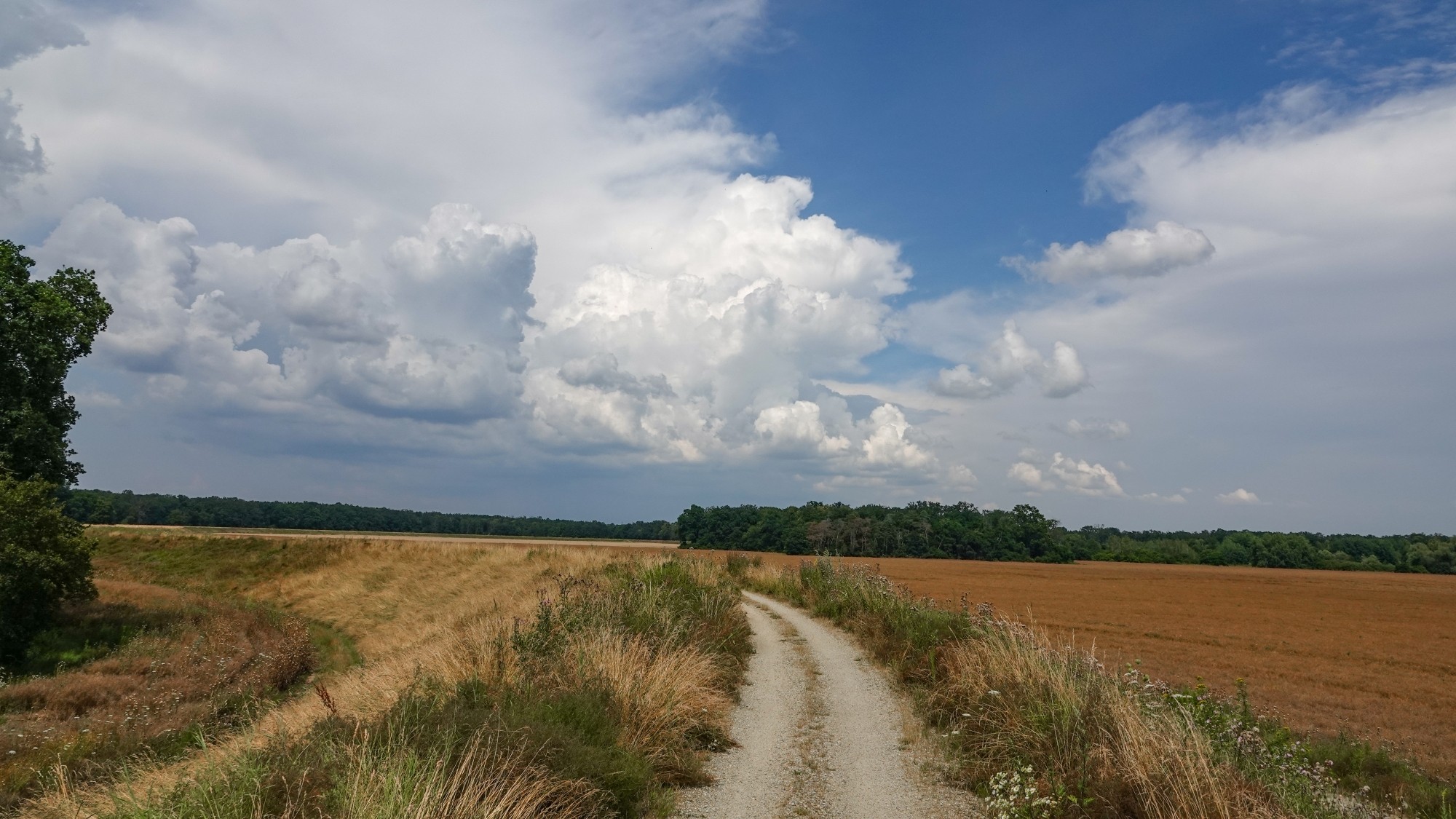 Podróż przez polską prowincję - zdjęcie 50