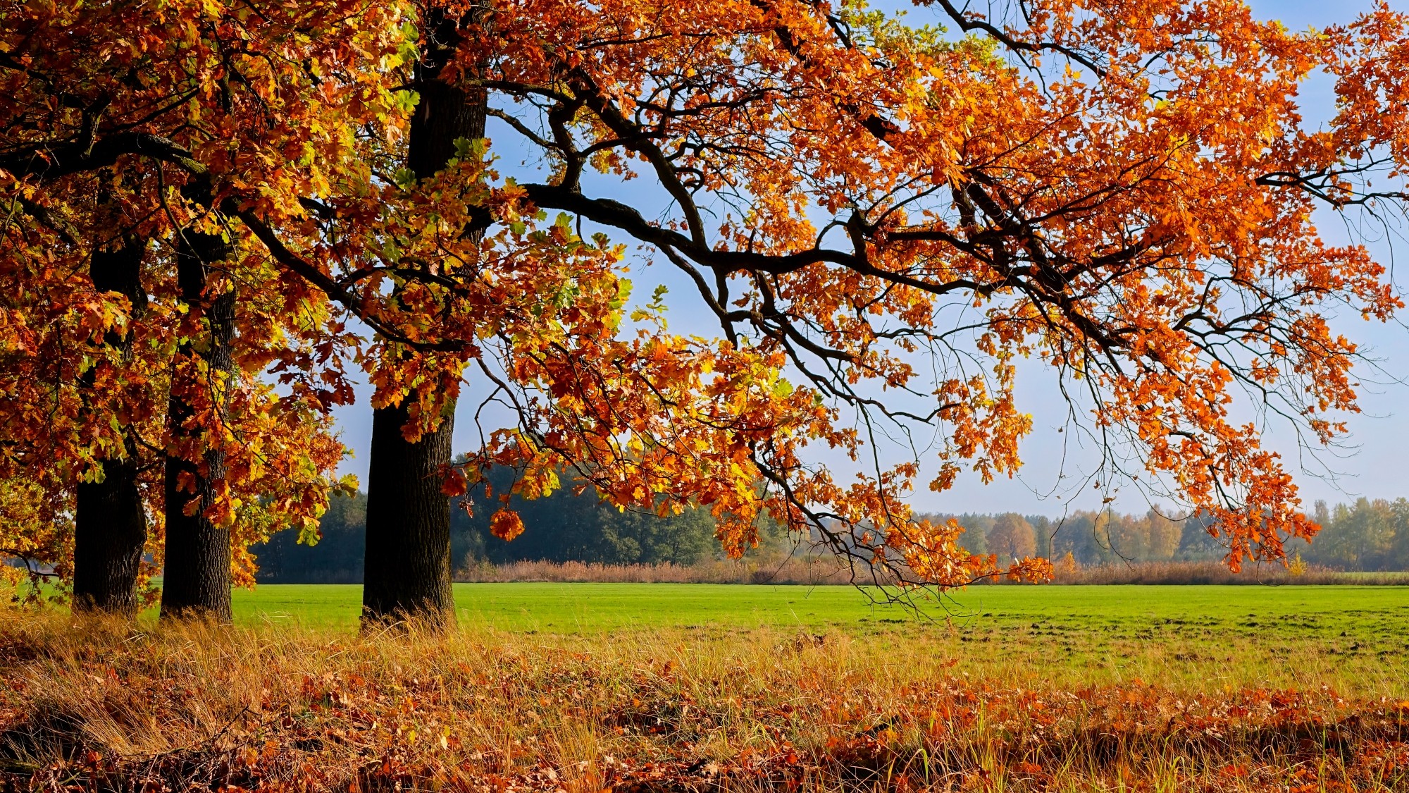 Kraina jesieni - zdjęcie 21