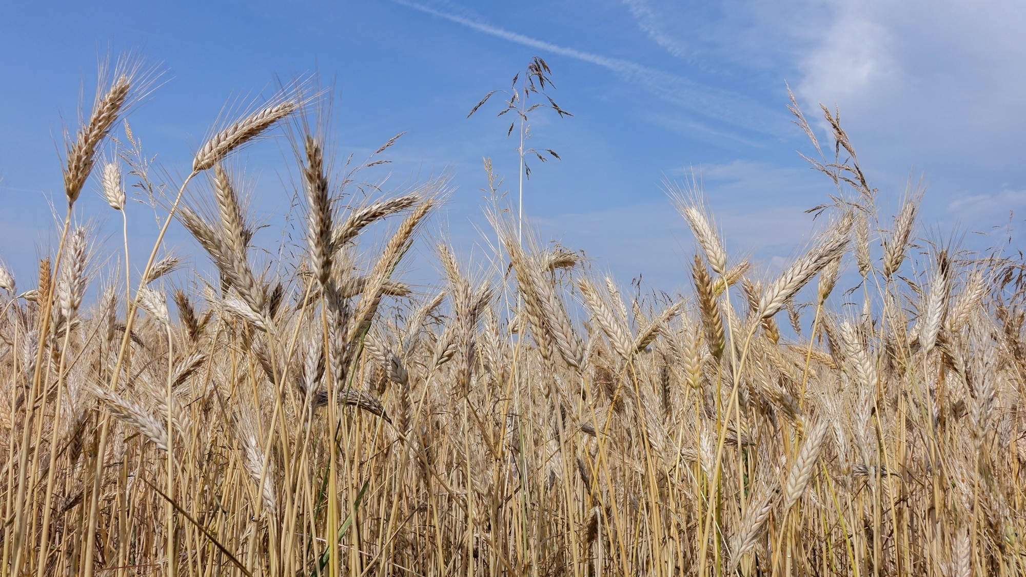 Odkryj piękno Polski w wakacje - zdjęcie 63