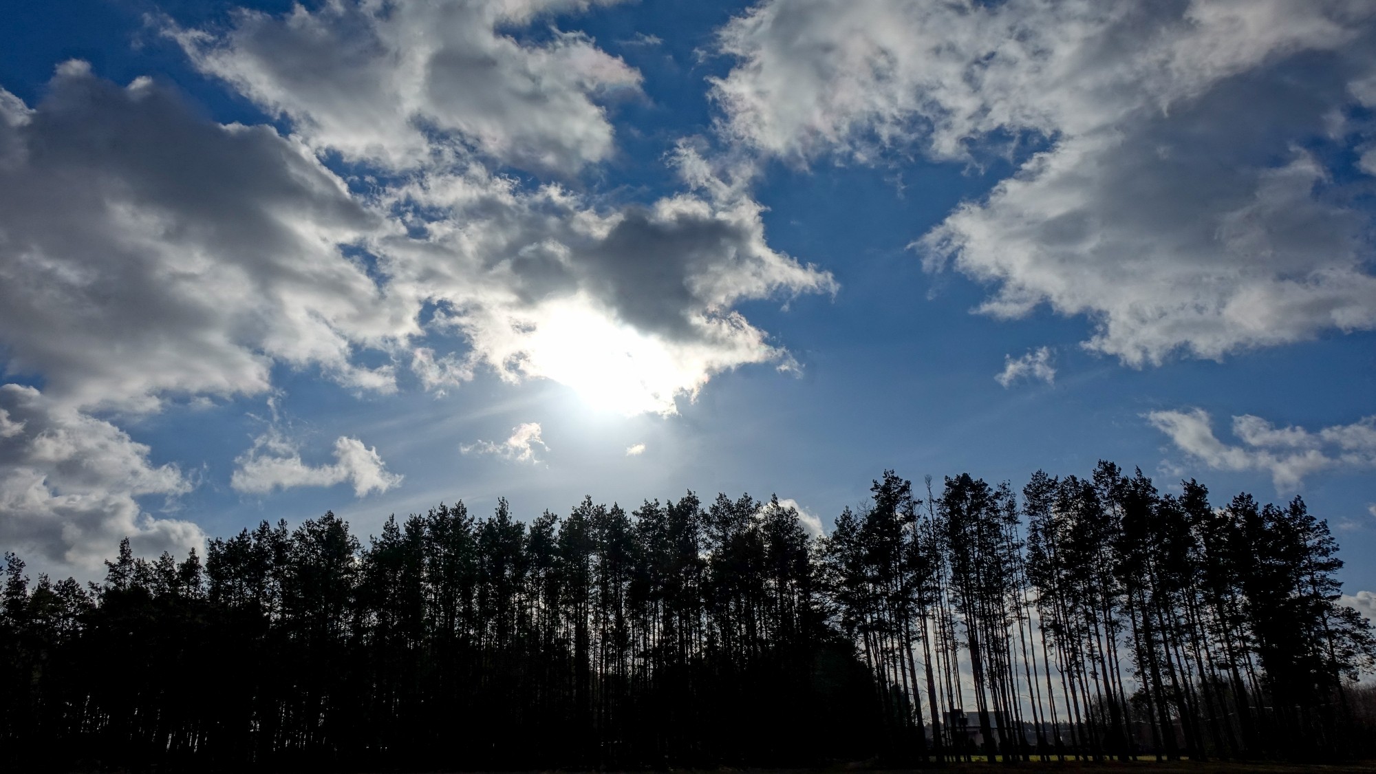 Najcieplejsza zima w historii - zdjęcie 17
