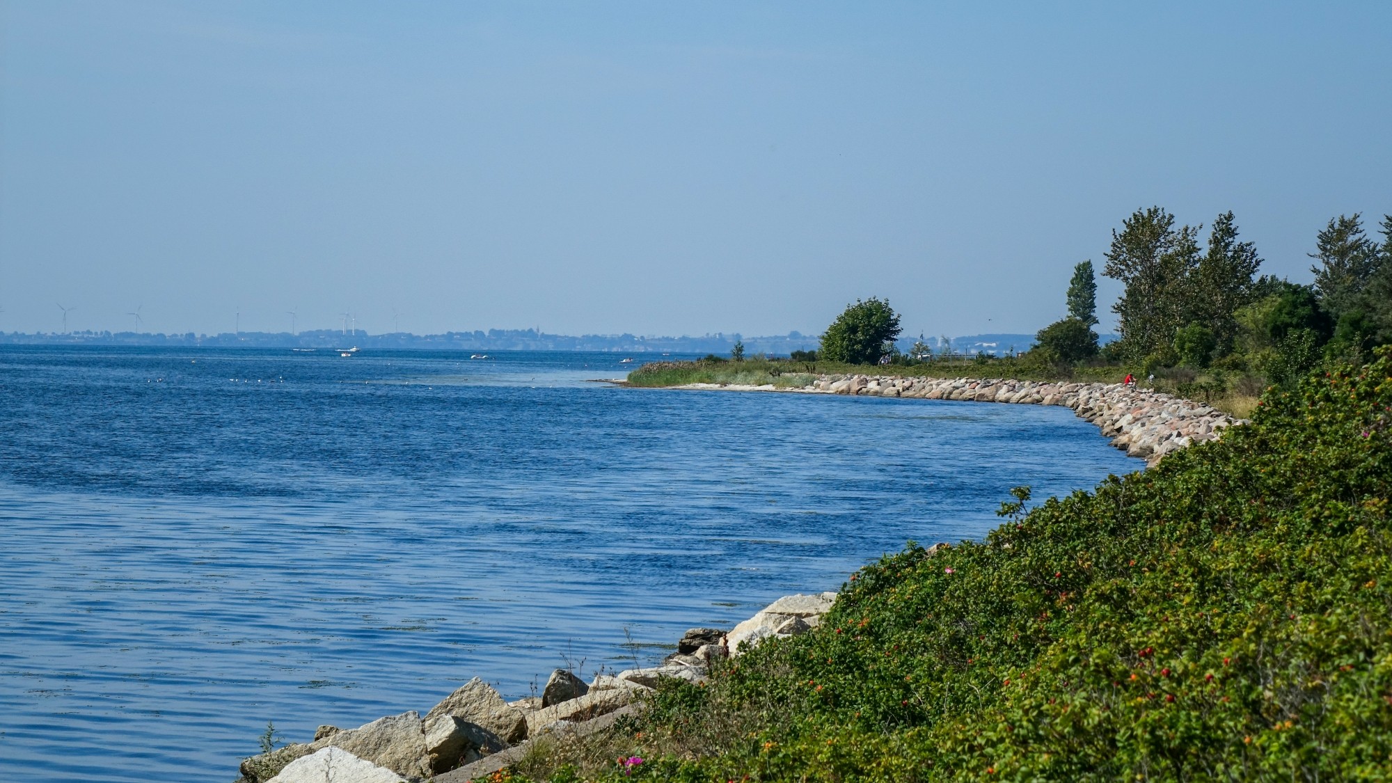 Późne lato na łonie natury - zdjęcie 26