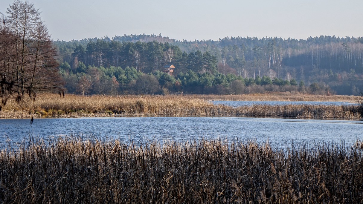 Nad morzem, jeziorami i rzekami - zdjęcie 85