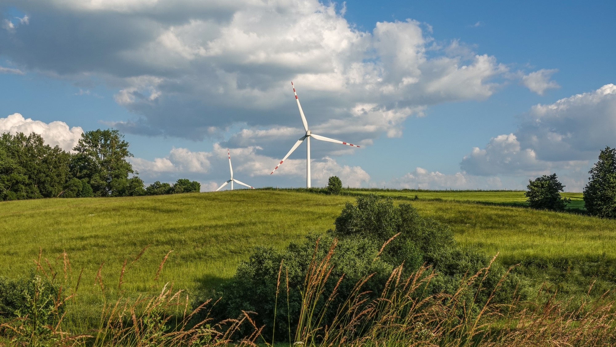 Środek lata w plenerze - zdjęcie 13