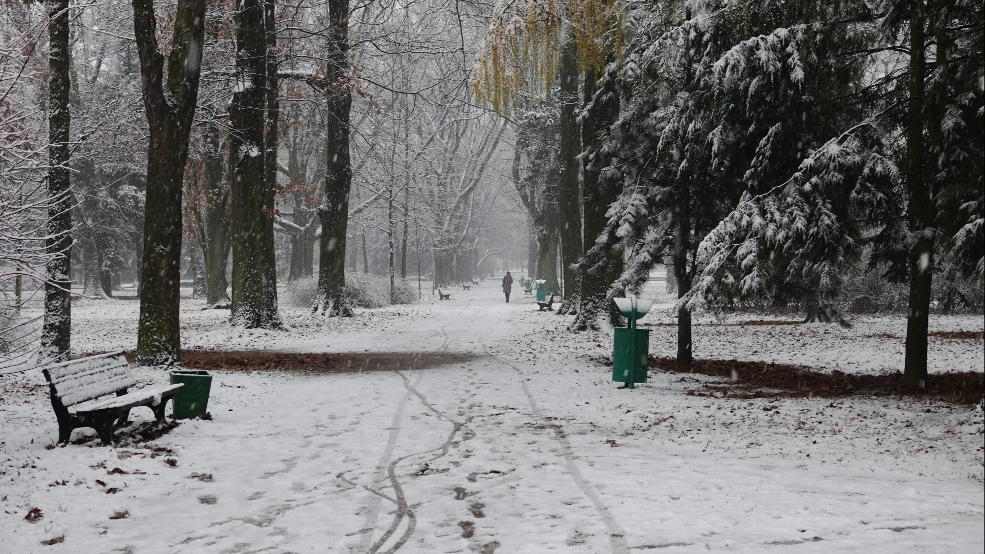 Oblicza zimy - zdjęcie 20