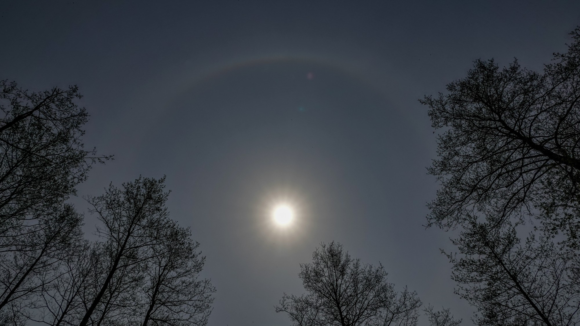 Kwiecień w obiektywie - zdjęcie 27