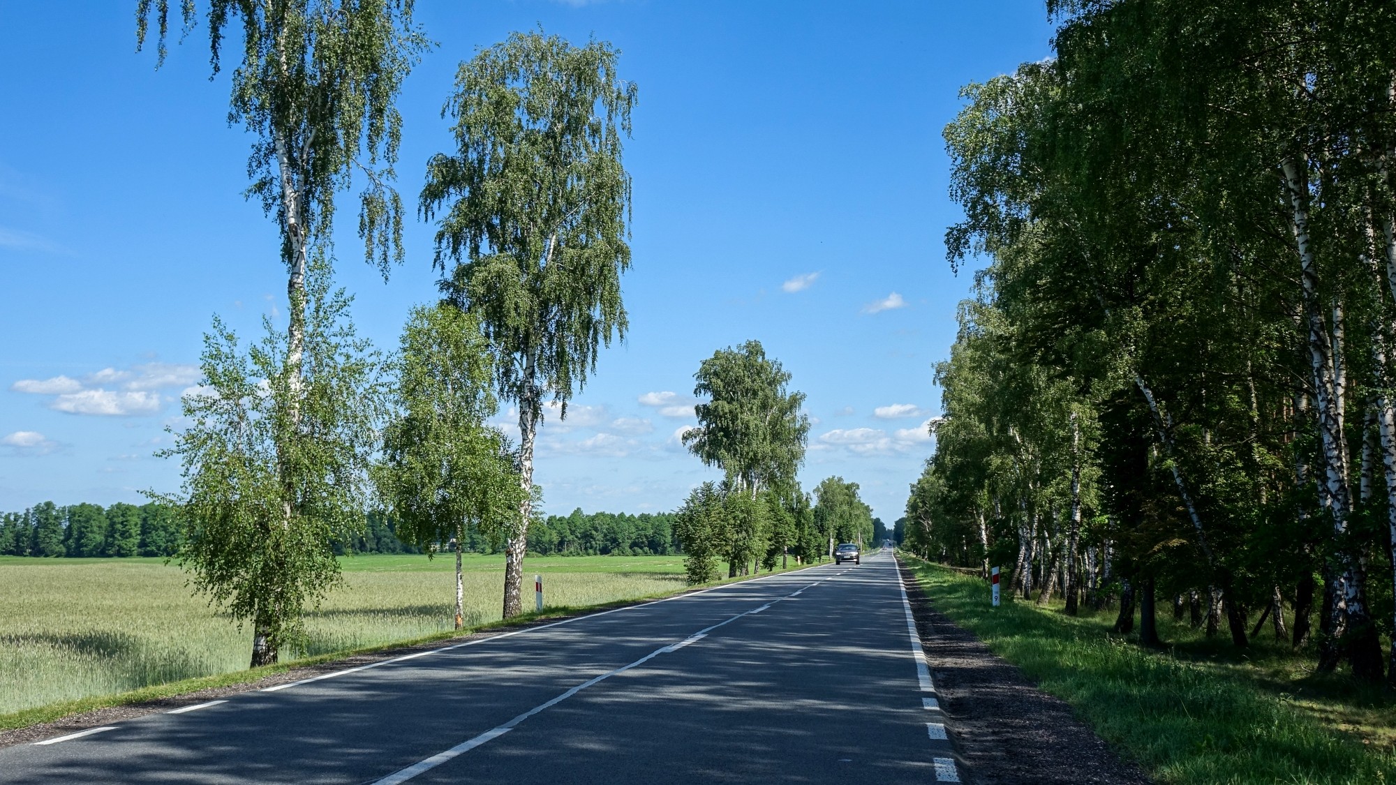 Uroki lata za miastem - zdjęcie 12