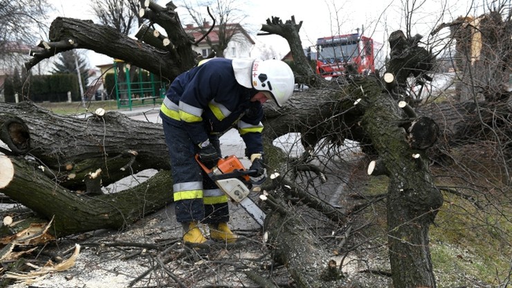 Ostrzeżenia przed silnym wiatrem w przeważającej części Polski