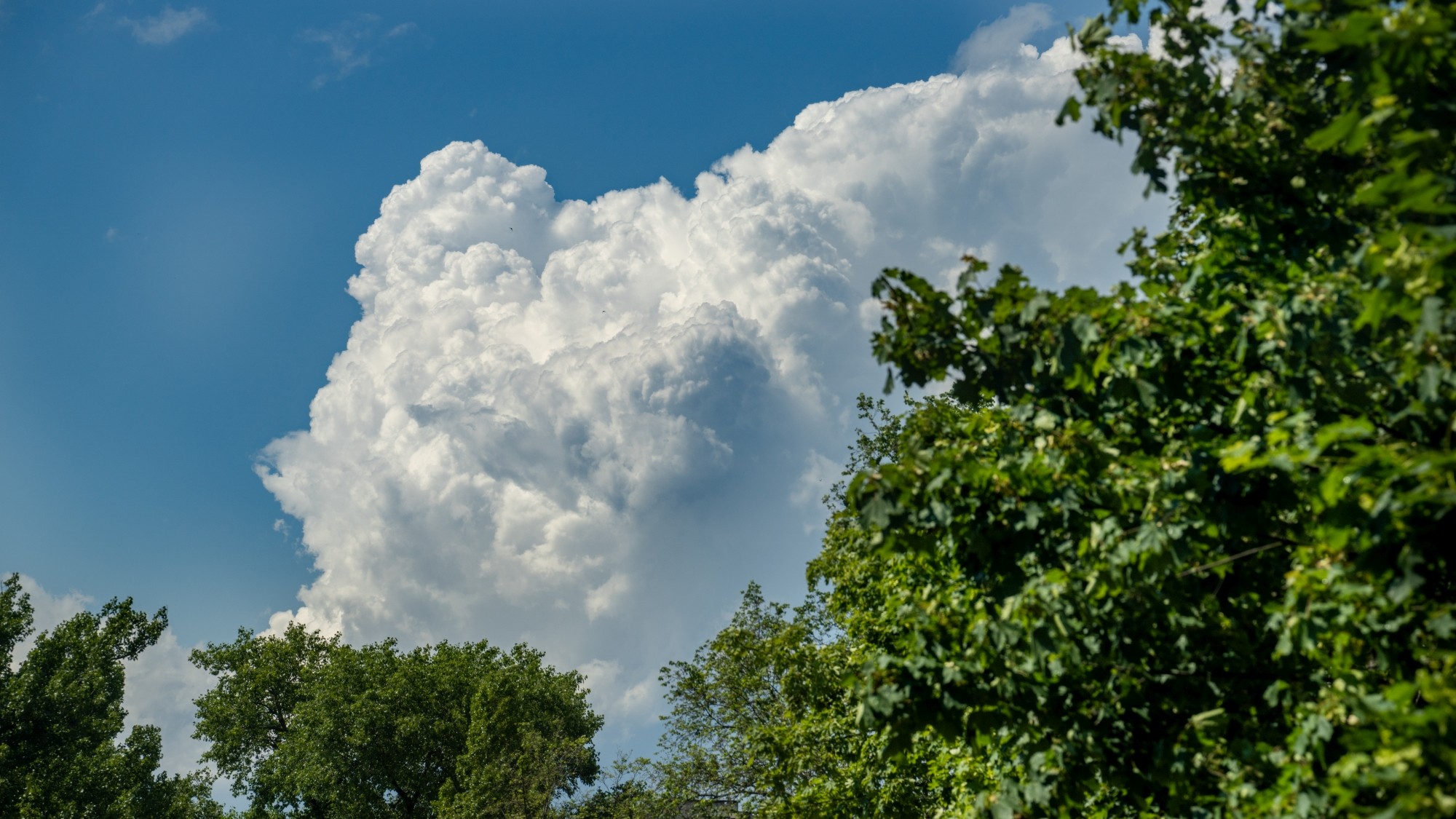 Lato na prowincji - zdjęcie 4