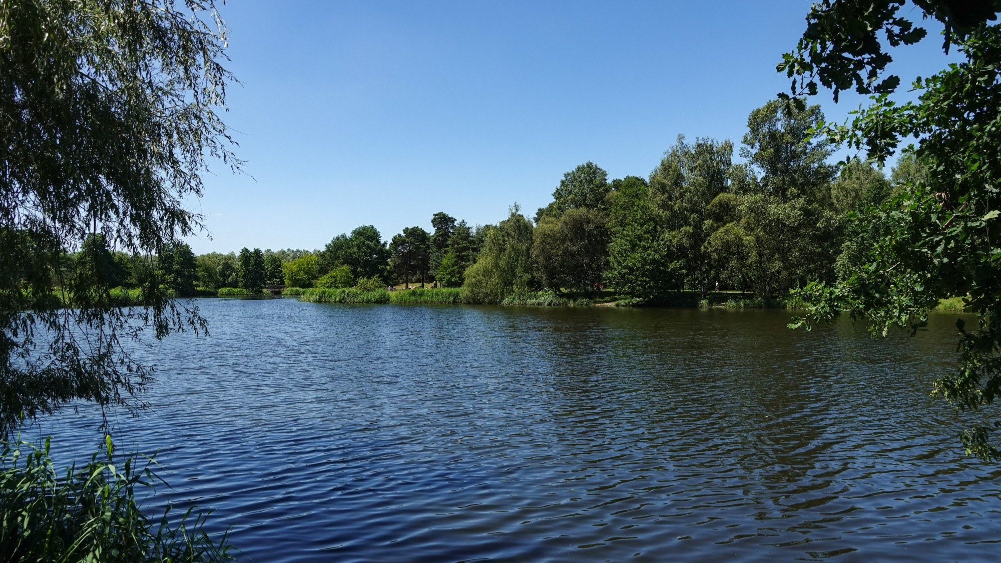 Letnie klimaty na łonie natury - zdjęcie 48