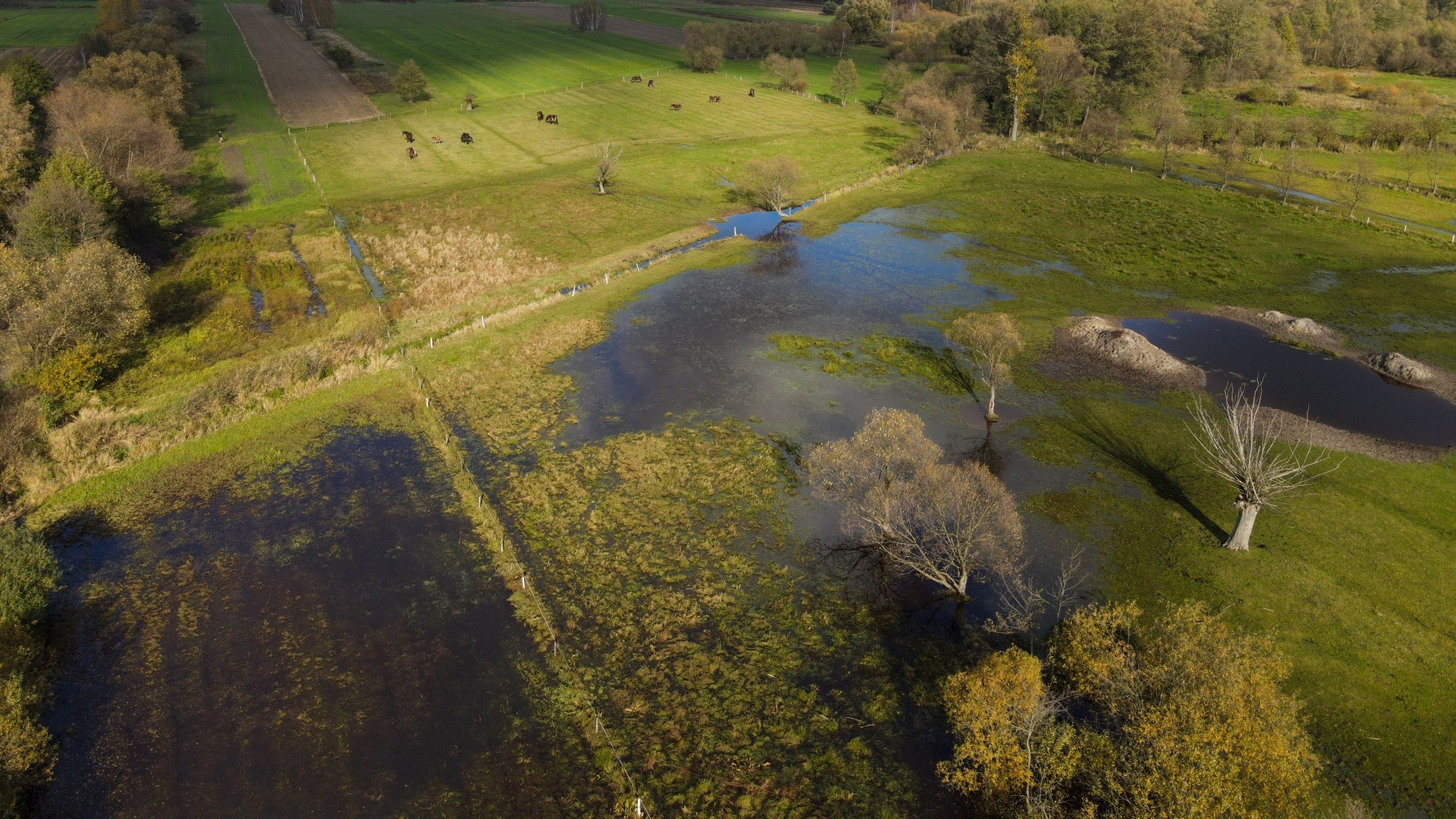 Cuda polskiej natury - zdjęcie 60