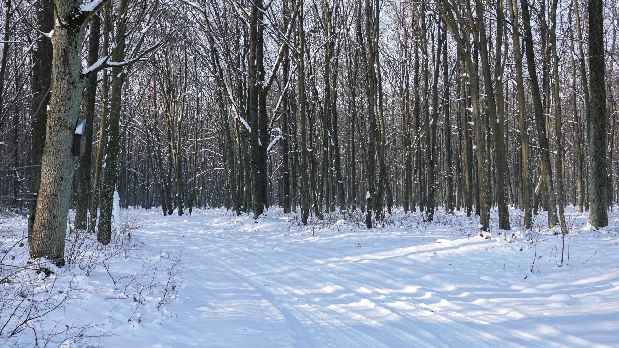 Na lodowym szlaku - zdjęcie 32