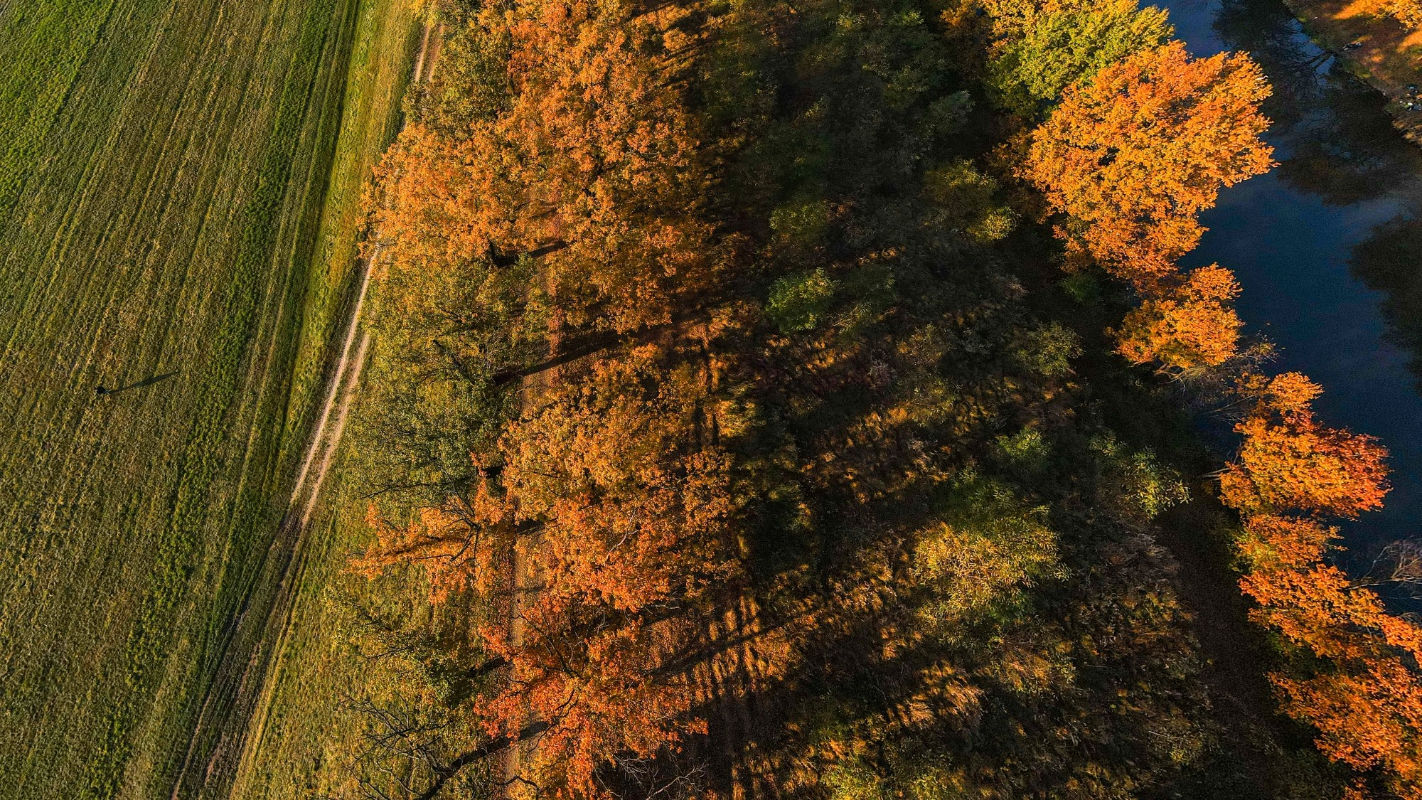 Jesień w Polsce z lotu ptaka - zdjęcie 29