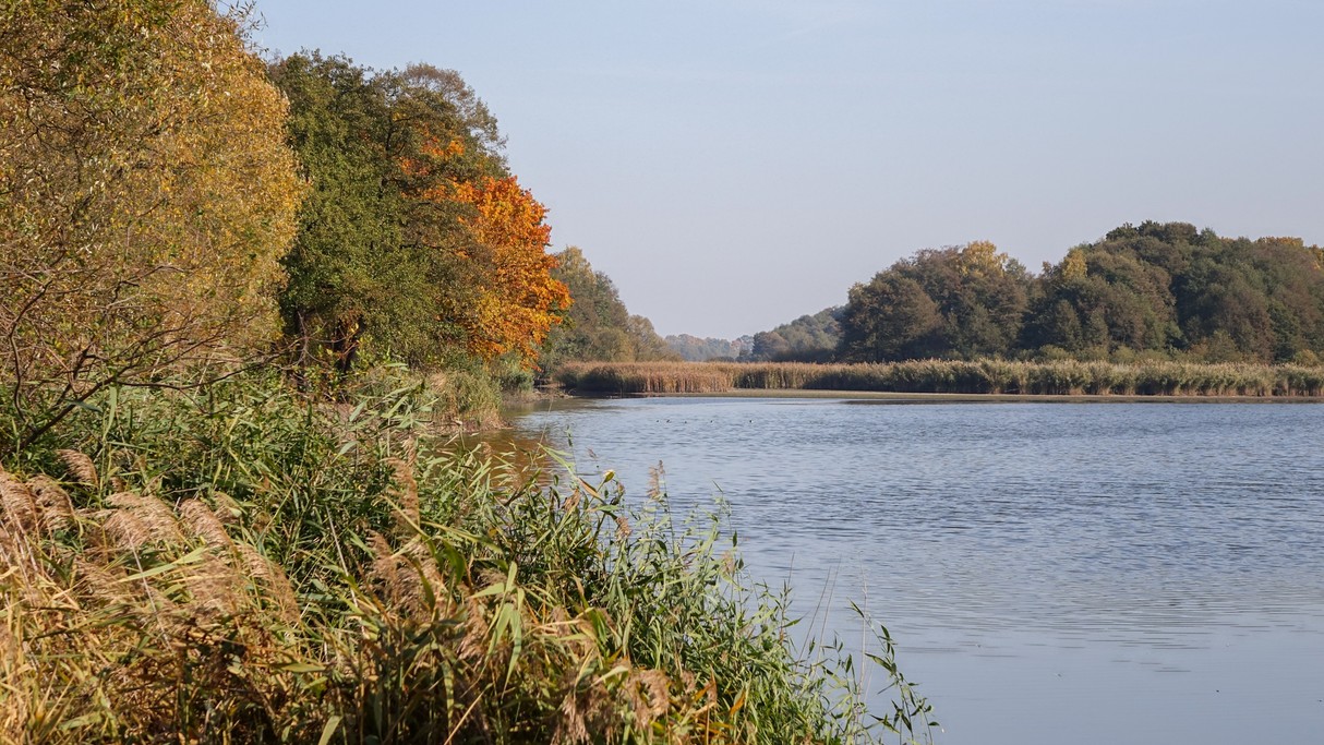 Nad morzem, jeziorami i rzekami - zdjęcie 65