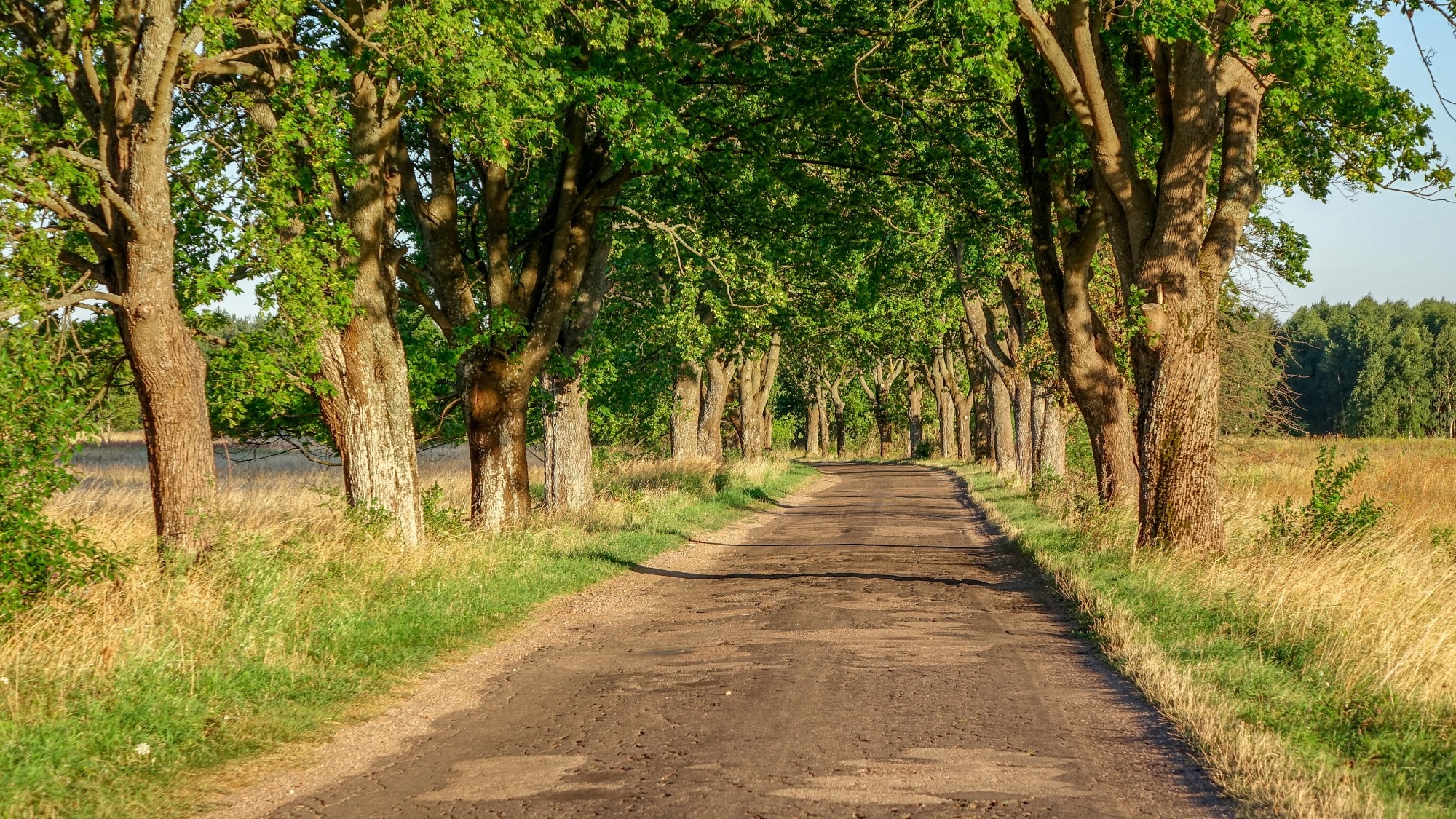 Wakacyjne podróże - zdjęcie 4