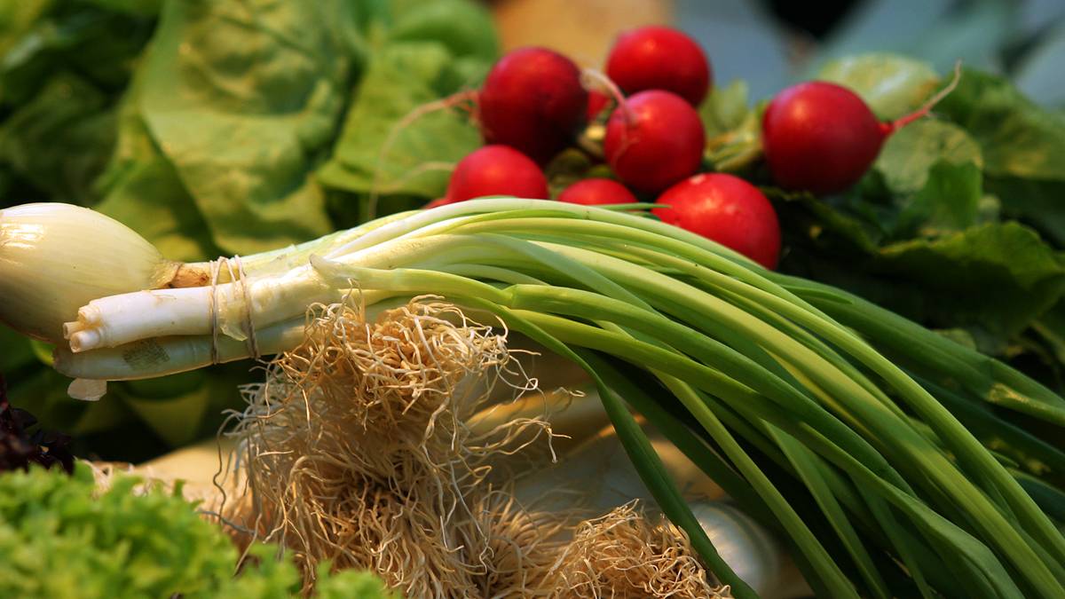 Nowalijki na stołach - jak uprawiane są wiosenne warzywa