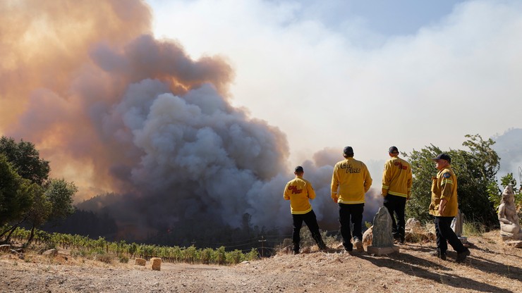 USA: pożar w Napa Valley - sercu przemysłu winiarskiego. Nie wyklucza się podpalenia