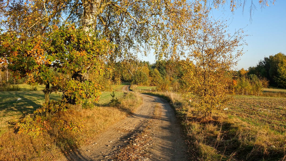 Barwy jesieni - zdjęcie 14