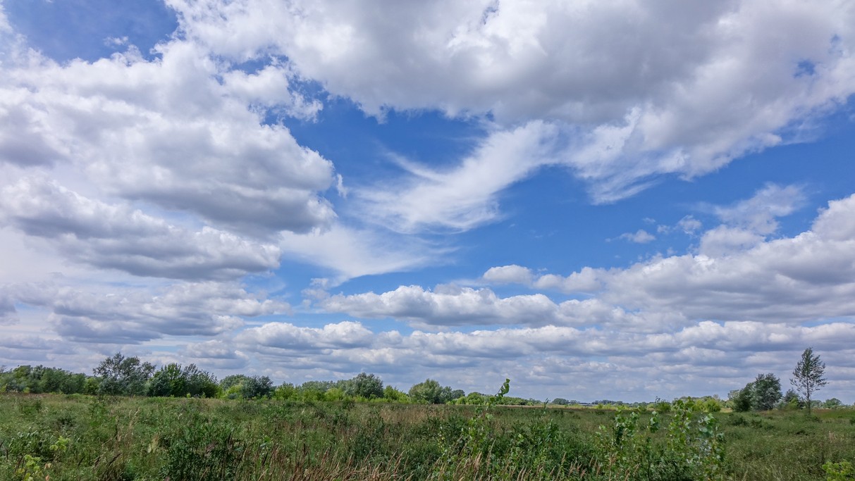 Czerwiec w obiektywie - zdjęcie 62