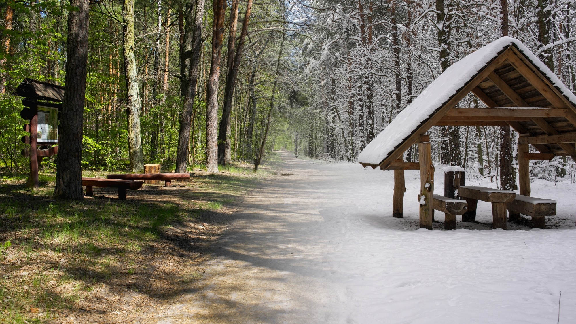 Porównanie wiosny i zimy - zdjęcie 14