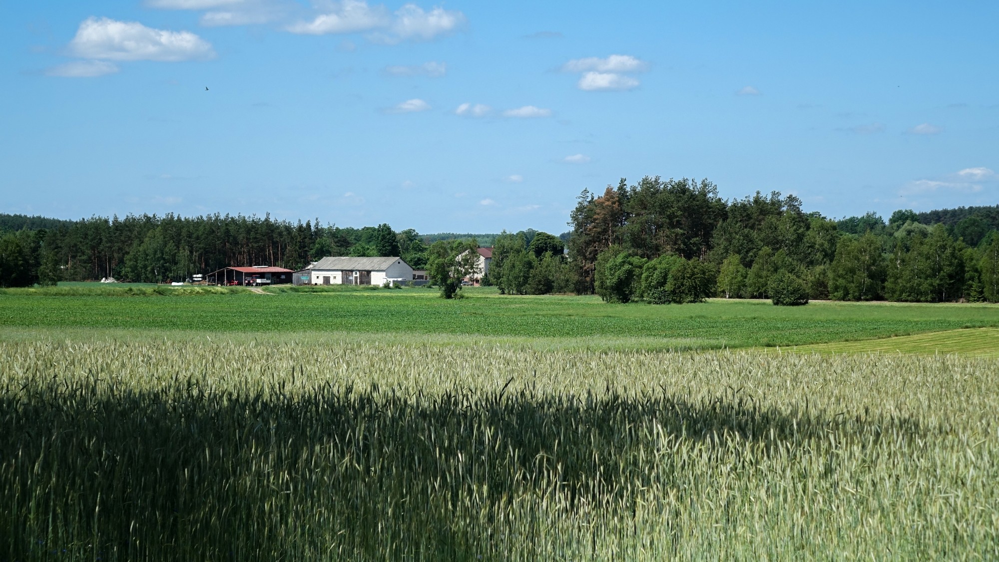 Uroki lata za miastem - zdjęcie 32