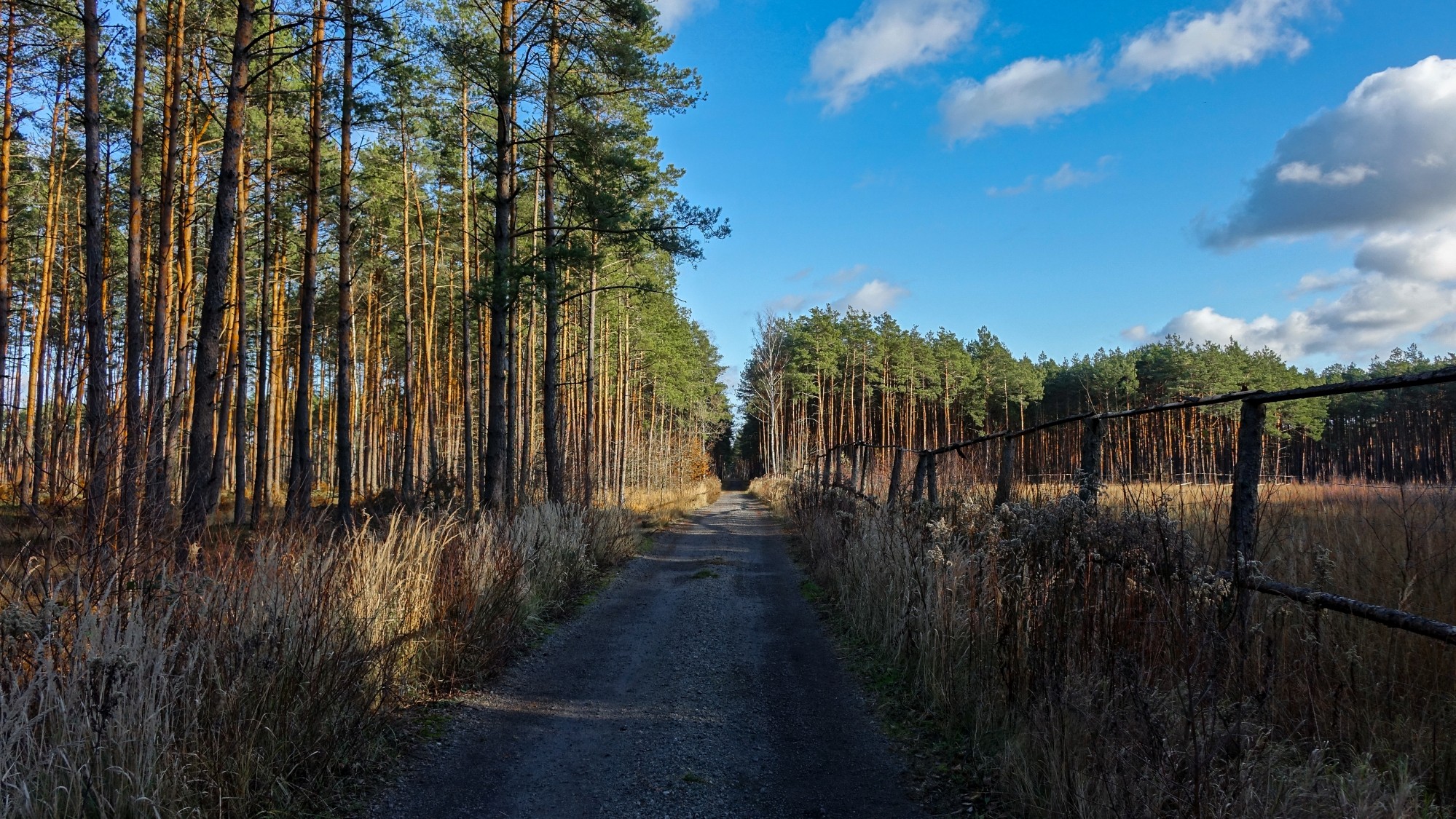 Listopad w obiektywie - zdjęcie 27