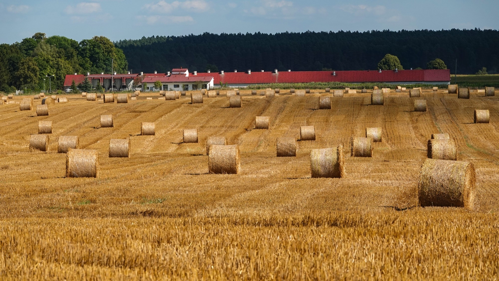 Na pożegnanie lata - zdjęcie 23