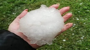 28.06.2021 10:00 Czegoś takiego jeszcze nie było. Na Ziemi Łódzkiej spadł olbrzymi grad wielkości grejpfruta [ZDJĘCIA]