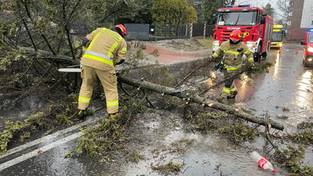 05.02.2024 05:54 Wichura nad Polską łamie drzewa i wyłącza prąd. Kiedy powieje najmocniej i kiedy się uspokoi?