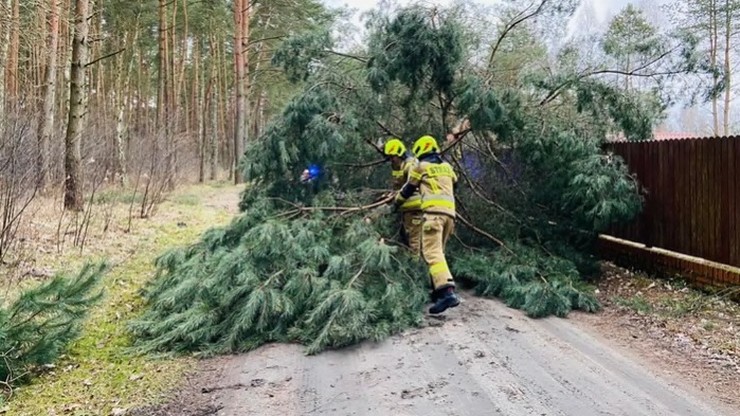 Burze w Polsce. Ponad 260 interwencji straży pożarnej w związku z burzami