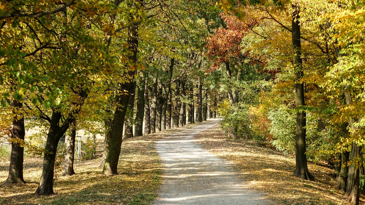 Podróż przez jesienną Polskę - zdjęcie 24