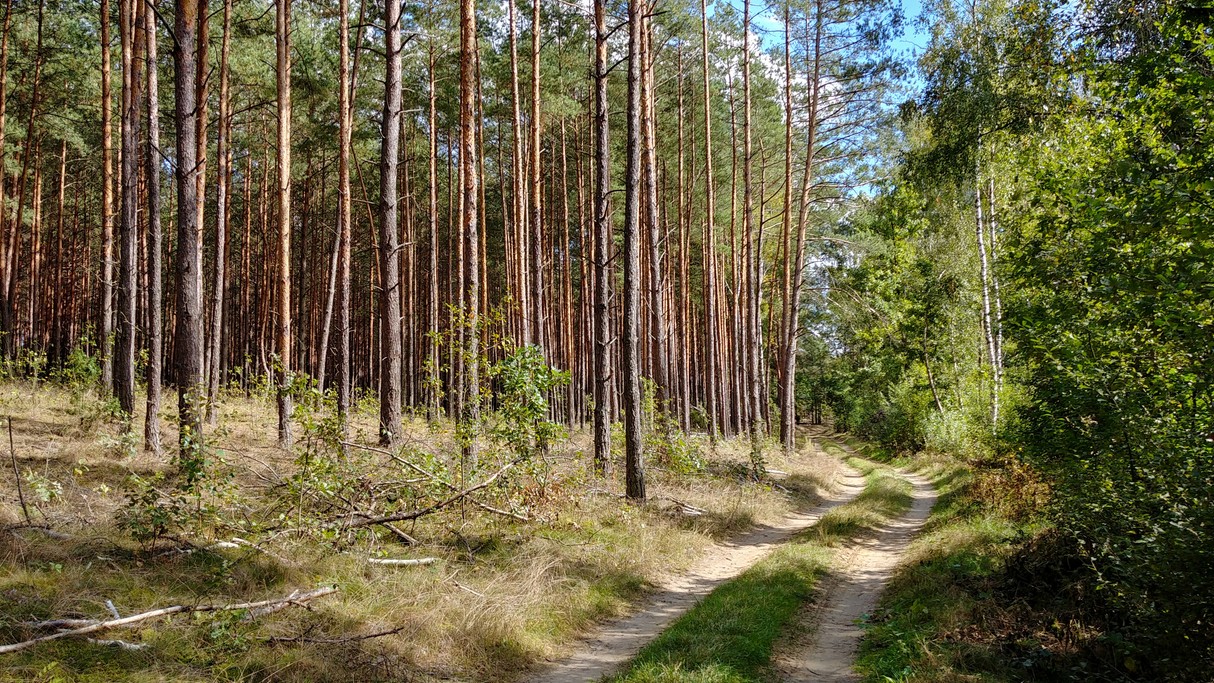 Wrzesień w obiektywie - zdjęcie 8