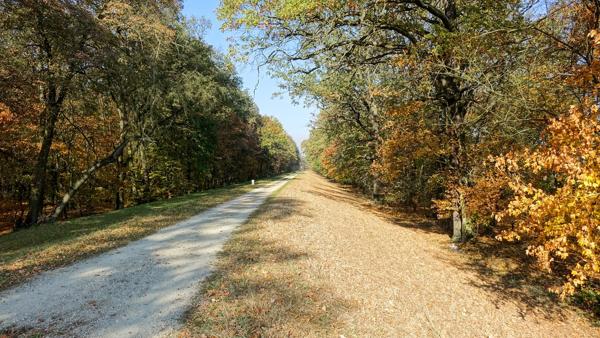 Październik w obiektywie - zdjęcie 45