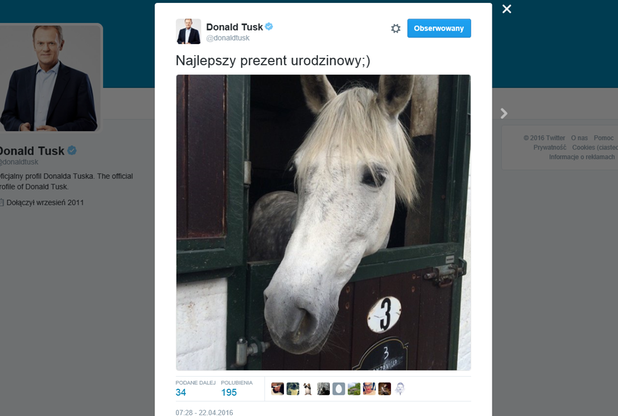 Donald Tusk obchodzi 59. urodziny. Za życzenia podziękował publikując zdjęcie... konia