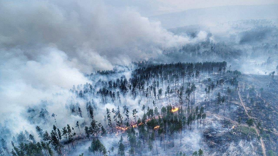 01.08.2019 07:00 Czarna chmura nad Syberią. Pożary lasów objęły obszar 60-krotnie większy od Warszawy