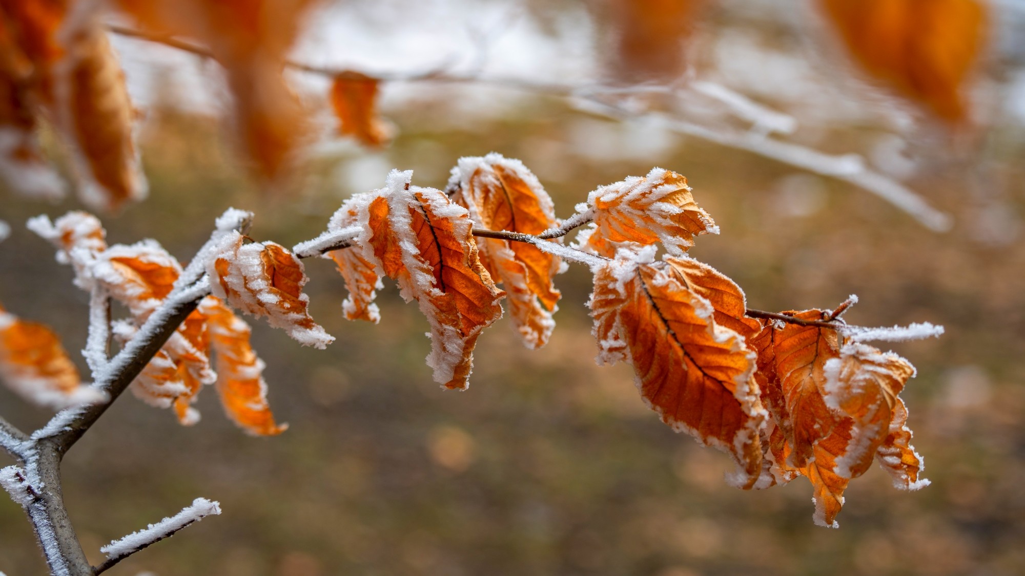 Zima w górach - zdjęcie 14