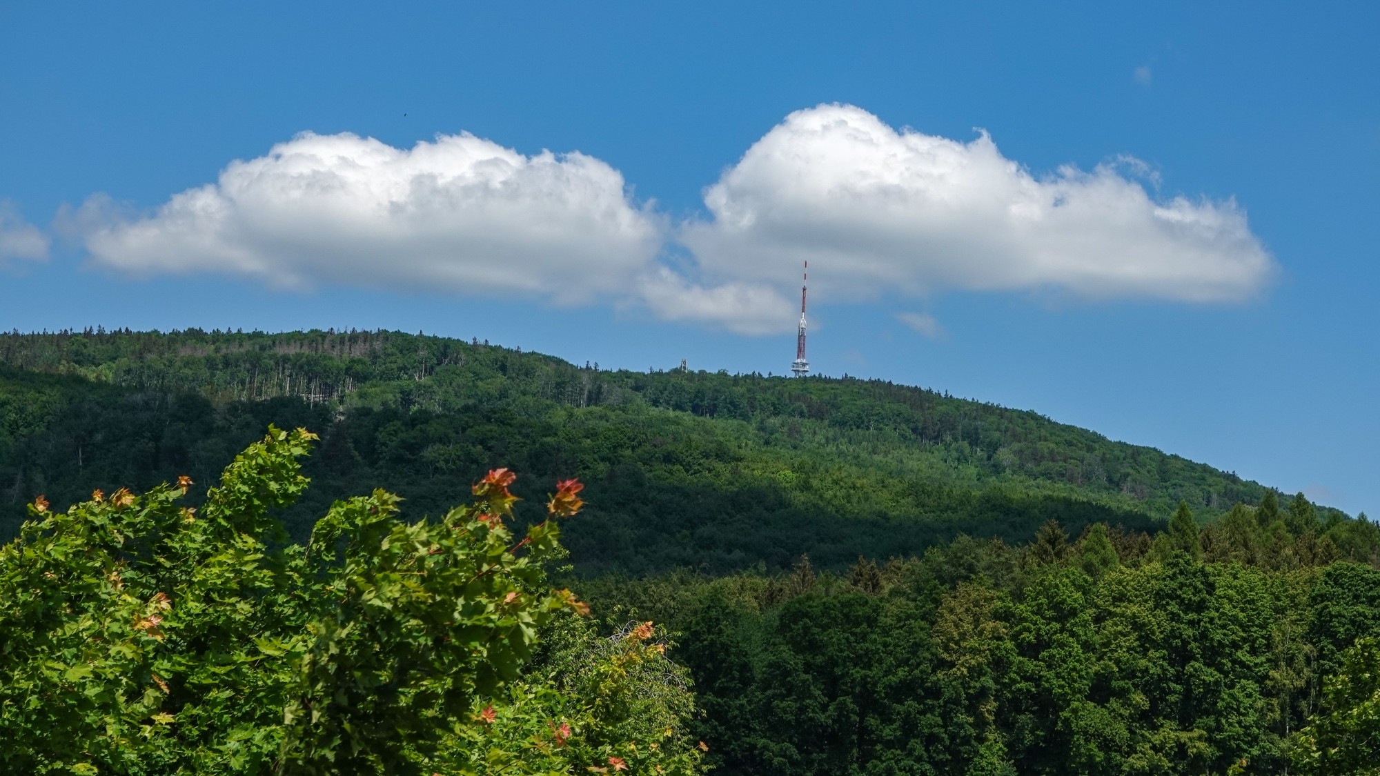 Całe piękno późnej wiosny - zdjęcie 13