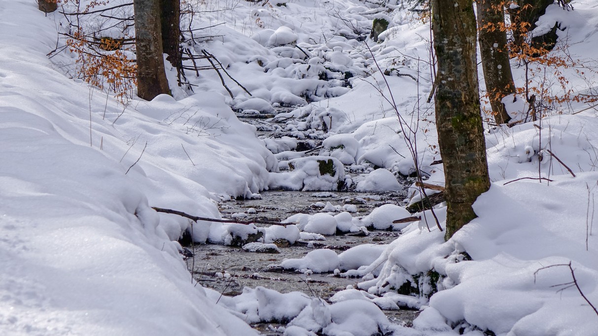 Luty w obiektywie - zdjęcie 13