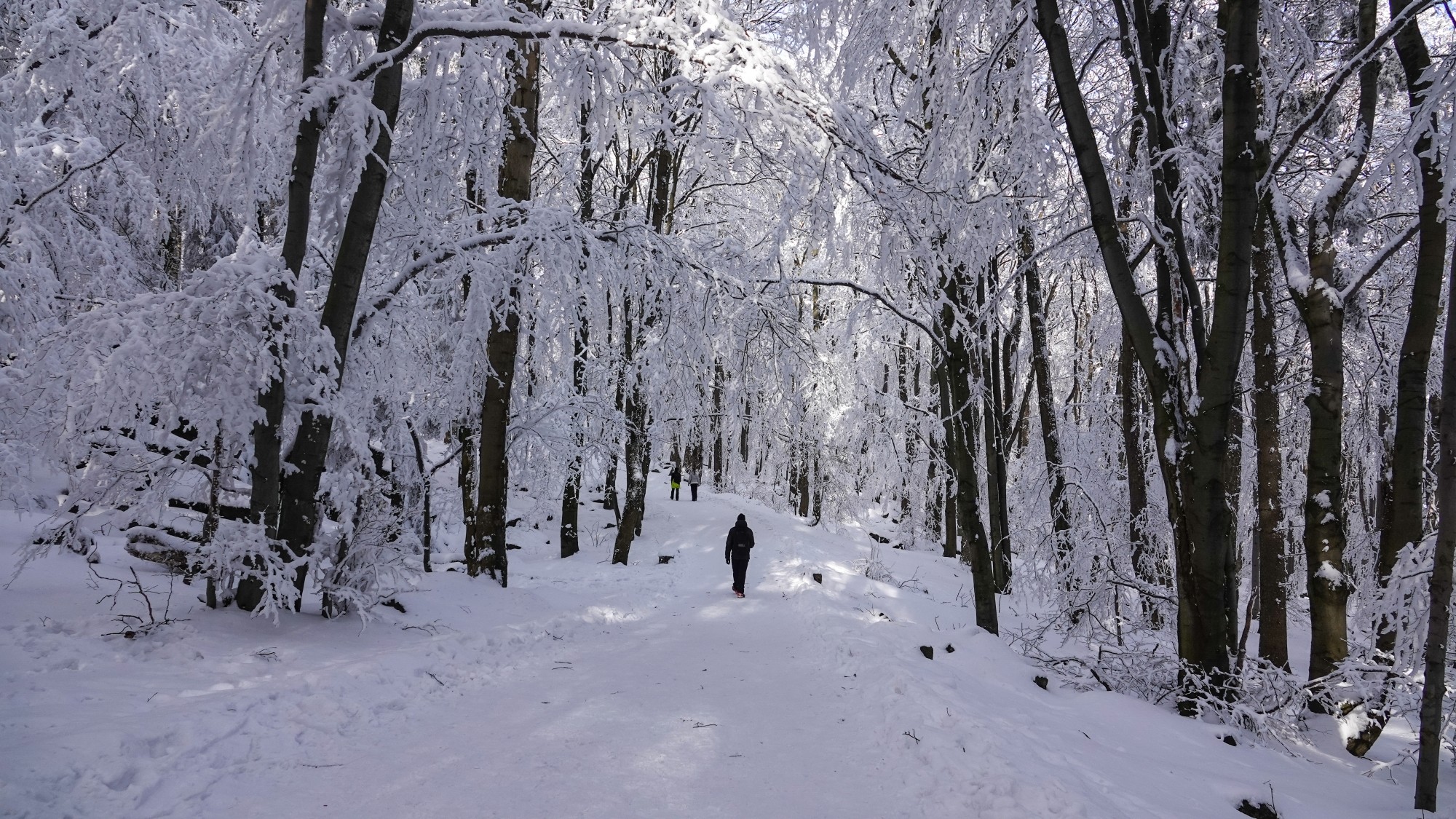 100 najpiękniejszych zdjęć 2021 roku - zdjęcie 9