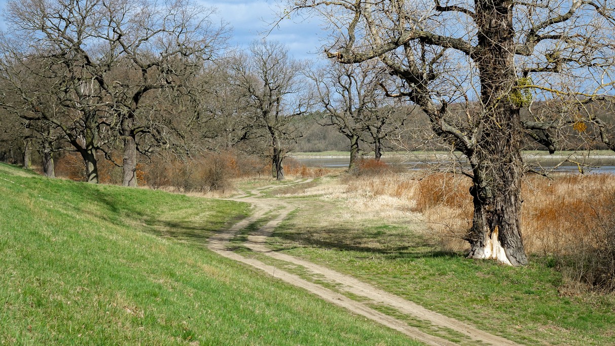 Marzec w obiektywie - zdjęcie 37