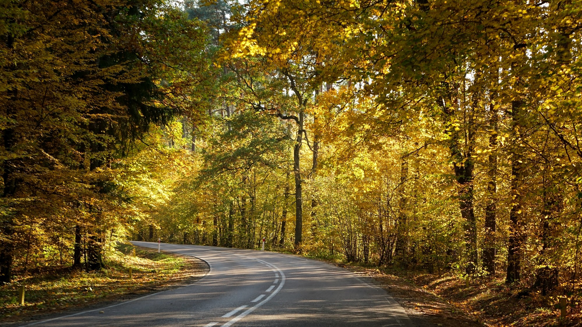Urocze zakątki w lasach - zdjęcie 27